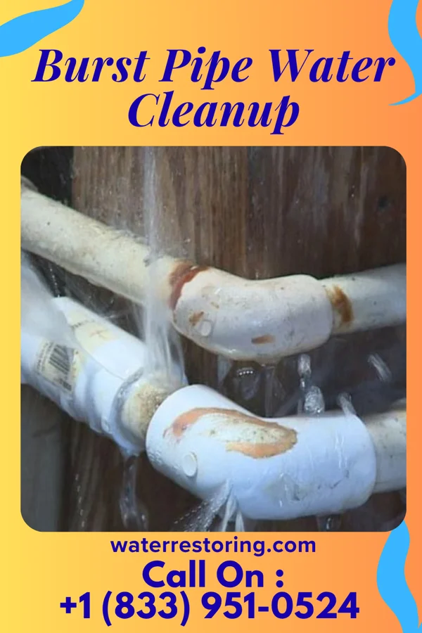 Burst Pipe Water Cleanup in Davenport, IA