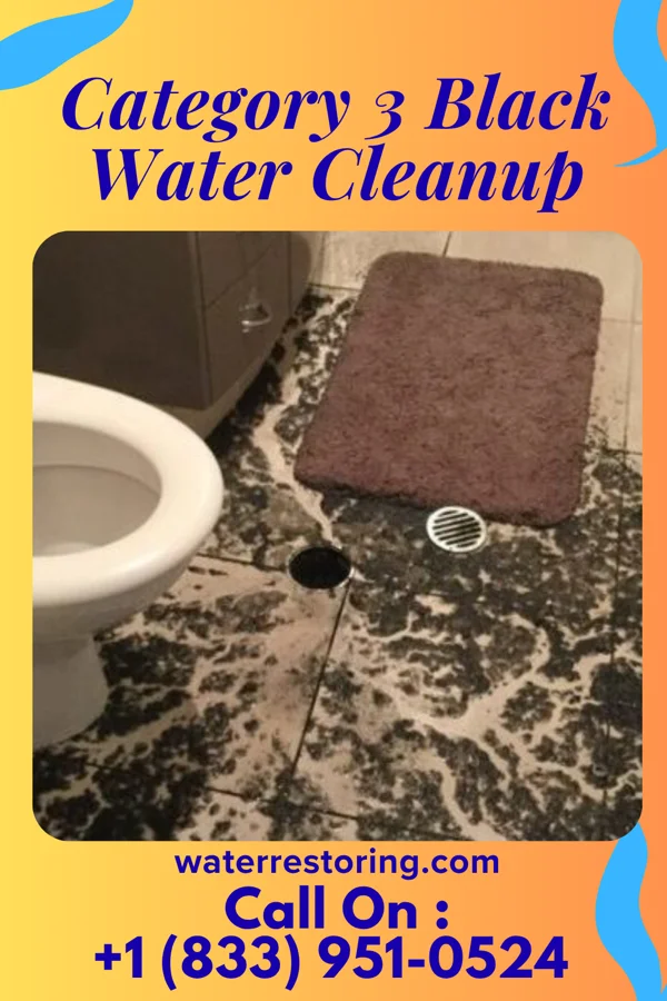 Category 3 Black Water Cleanup in Davenport, IA